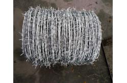 China 12x14BWG Galvanized Steel Double Strand Barbed Wire Rope  non rusting supplier