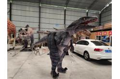 China Adult Simulation T-Rex Realistic Animatronic Dinosaur Costume supplier