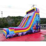 Waterproof Commercial Inflatable Slide / Nemo Inflatable Dry Slide for sale