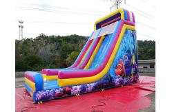China Waterproof Commercial Inflatable Slide / Nemo Inflatable Dry Slide supplier