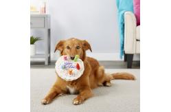 China Stuffed Plush Dog Happy Birthday Cake Abs 110g Pet Squeaky Toys With Candles supplier