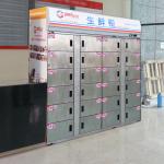 Smart Refrigerated Food Fresh Locker Frozen Storage Metal Self Service for sale