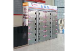 China Smart Refrigerated Food Fresh Locker Frozen Storage Metal Self Service supplier