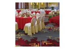 China Wall To Wall Auditorium Nylon Printed Carpet With Stain Resistant supplier