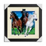 0.6mm Pet 5d Lenticular Animal Picture With 40*40cm For Wall Hanging / Home Decro for sale
