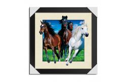 China 5D Running Horse Image 3D Lenticular Printing Service MDP Frame supplier