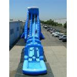 Inflatable Water Slide, hippo slide , inflatable giant palm slide for sale