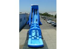 China Inflatable Water Slide, hippo slide , inflatable giant palm slide supplier