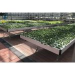 Hydroponics Ebb And Flow Rolling Benches Greenhouse Plant Trays UV Protection for sale