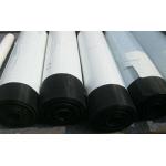 16 Mesh X16 Mesh Spray Window Screen Wire Mesh 50m X 0.5m