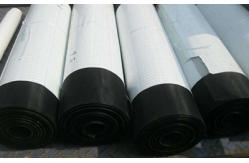 China 16 Mesh X16 Mesh Spray Window Screen Wire Mesh 50m X 0.5m supplier