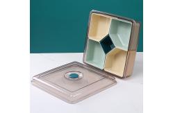 China Compartments 450g Plastic Organizer Box With Cover supplier