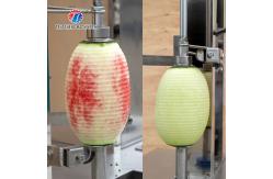 China 0.75KW 380V Multifunctional cantaloupe and wax gourd peeler Peeling and flapping machine supplier