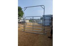 China Tubular Steel Fence manufacturer