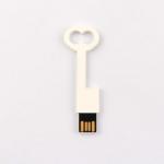 Conform Europe Standard Plastic Key USB Flash Drive 2.0 64GB 128GB 50MB/S for sale