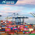 Professional Container Sea Freight From China To Philippines EXW DDU CIF for sale