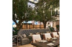 China Custom Fiberglass Olive Artificial Landscape Trees Garden Decoration supplier