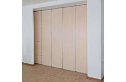 China Modern Hotel Sliding Acoustic Partition Wall Melamine Surface Hanging System supplier