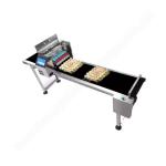 Automatic Egg Coding Machine Inject Printing Machine Small For Eggs Expiry Date Printing Machine for sale