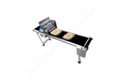 China Chicken Egg Printer Printing Machine  Ink Jet Printer Eggs Machine Egg Date Printer supplier