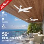 1/ 4 / 8 Hours Timming Plastic Blade LED Ceiling Fan With Remote Smart App Control for sale