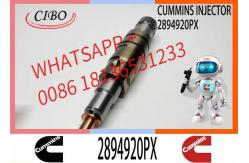 China FUEL INJECTORS 2894920 2894920PX 2894920 2897320 1948565 1933613 2029622	2030519 supplier