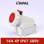 IP67 16A 380V 4 Pole Industrial Wall Mounted Socket IEC Standard for sale