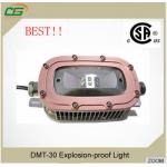 3000lm DC 24V ip65 LED Explosion Proof Light Pure White 78Ra , LED Outdoor Flood Lights for sale