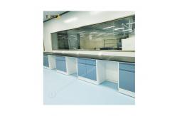 China Customizable Length Lab Wall Bench With Steel Structure L750*W850*H850mm supplier
