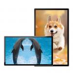 21.5 inch multi function touch screen dust proof video digital signage wall mount kiosk for sale