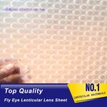 PLASTIC LENTICULAR fly eye 3d lenticular lens sheet materical with 3d effect and 360 degrees for sale