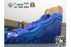 China Largest  Inflatable Bouncy Slide Rentals For Water Sport Games supplier