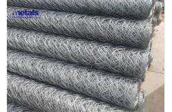 China Agricultural Hexagonal Wire Mesh Netting Vinyl Coated Galvanized Steel supplier