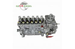 China Fuel Injection Pump 0402066702 3926887 for Engine ISC 6CTA8.3L supplier