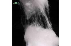 China Low Melt Fiber 6D Low Crimp Ethylene Propylene Fibre For Sanitary Material supplier