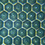 High Accuracy Cermic Anilox Roller  Wear Resistant Coating Roller Cermic Spray Treatment