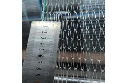 China 2mm Opening Heavy Duty Bird Netting For Orchards  Chinlon Material supplier
