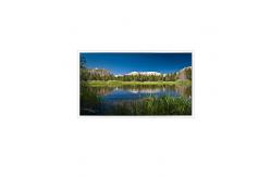 China 65inch 3840*2160 DV650QUB-R01 1.07B 72%NTSC LCD Screen Panel supplier