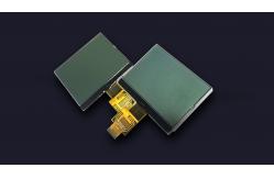 China FSTN Positive UC1698 LCD 7 Segment Display 160X160 Cog Graphic LCD Module supplier