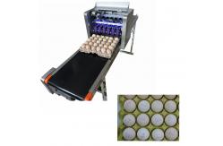 China Smart Eggs Code Printing Machine With Condensation Resistance Characteristics supplier