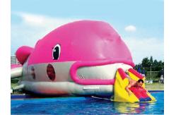 China Water Floating Games, Inflatable Obstacle Course In Pink Whale Model supplier