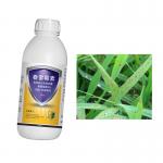 6% Kasugamycin Soluble Fungicide for Fungal Disease Treatment for sale