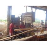 Big vertical band sawmill with CNC carriage automatic wood cutting machine