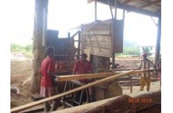 China Vertical band sawmill with CNC carriage automatic wood cutting machine supplier