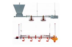 China Automatic feeding system for broilers supplier