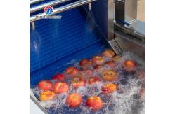 China 3KW 50HZ Fruit And Vegetable Processing Line Washing Sorting Machine supplier