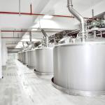 Automatic Mango Processing Line For Fruit Juice Processing 110V for sale