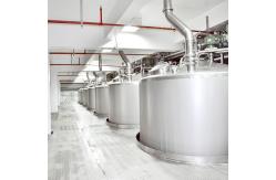 China Automatic Mango Processing Line For Fruit Juice Processing 110V supplier
