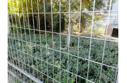 China Canadian Temporary Fence / Welded Wire Mesh Fence Panels supplier