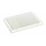 Full Skirt Polypropylene Clear 40ul 384 Well PCR Plates Disposable Plastic Plates for sale